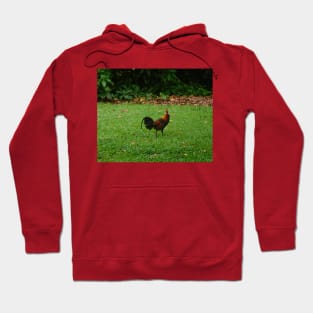 Red Jungle Fowl Amidst Lush Greenery Hoodie